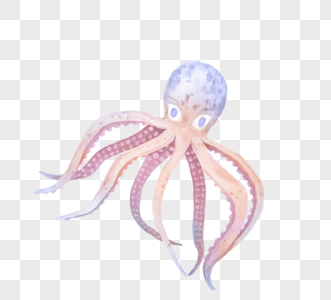 蓝色粉色章鱼海洋动物可爱元素图片