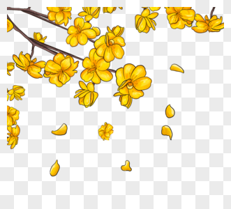 手绘黄色春天花朵图片