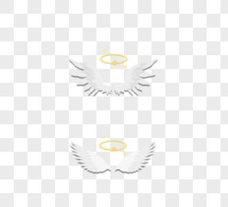 天使的羽毛图片