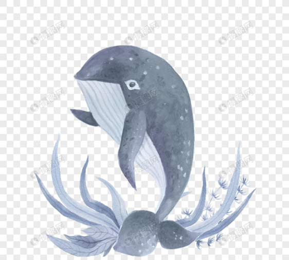 蓝色鲸鱼海洋动物手绘元素图片