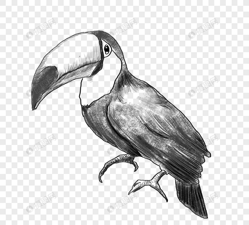 黑白线稿鸟类动物手绘元素元素素材下载 正版素材 摄图网