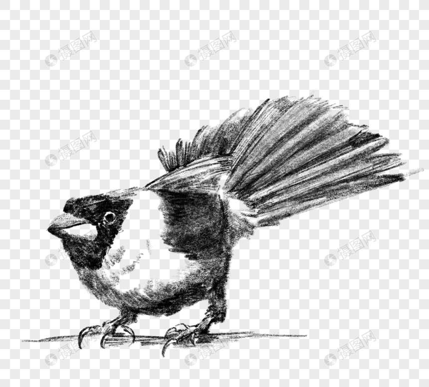 热带鸟素描黑白元素元素素材下载 正版素材 摄图网