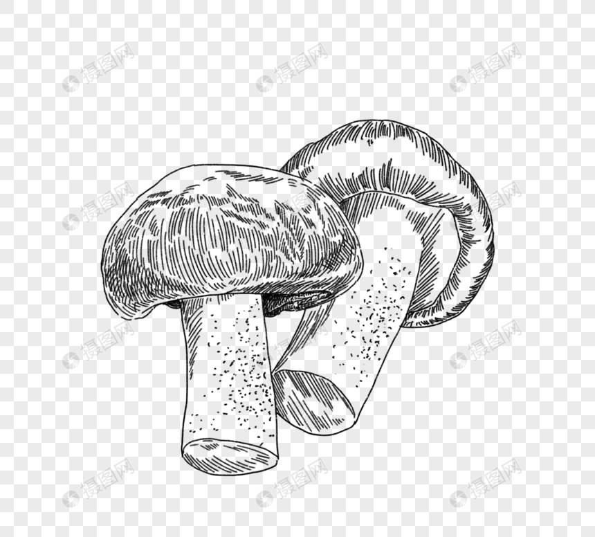 卡通线描手绘蘑菇元素图片