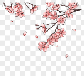 手绘春季粉色樱花图片