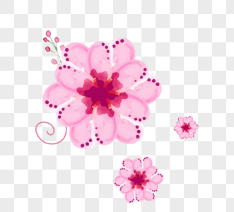 粉红色新鲜水彩花朵和骨头图片