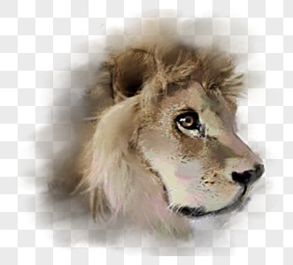 可爱野兽狮子手绘头像元素高清图片