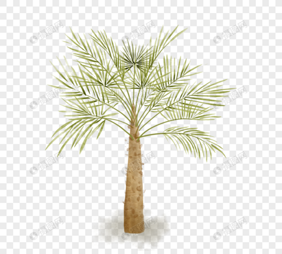 绿色水彩棕榈树元素图片