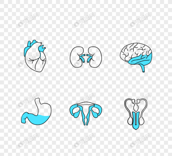 简约扁平可爱手绘人体器官医疗线图标图片