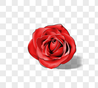 朱红色立体手绘玫瑰花朵图片