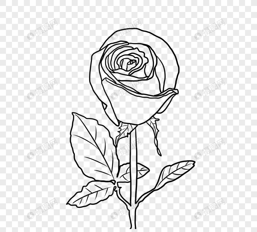 白描玫瑰花花朵元素素材下载 正版素材 摄图网