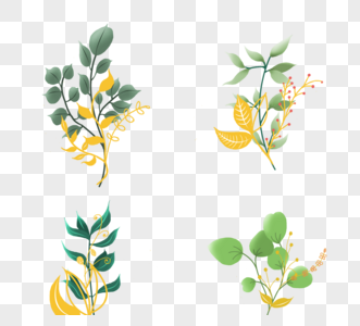 手绘绿色金枝花卉图片