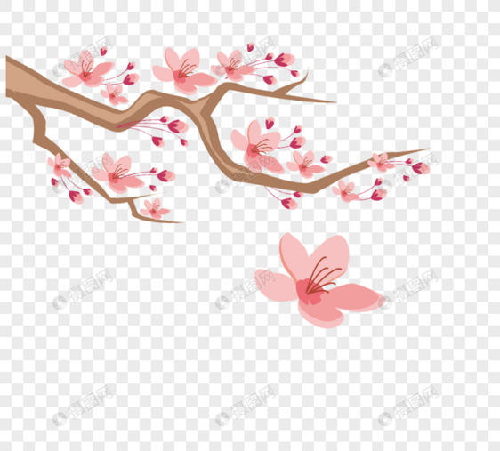 粉红樱花树花朵飘散元素图片