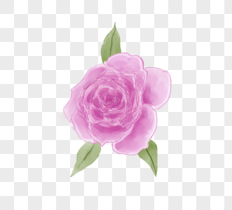 手绘线条水彩风淡紫色玫瑰花图片