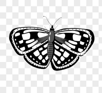黑白花纹蝴蝶元素图片
