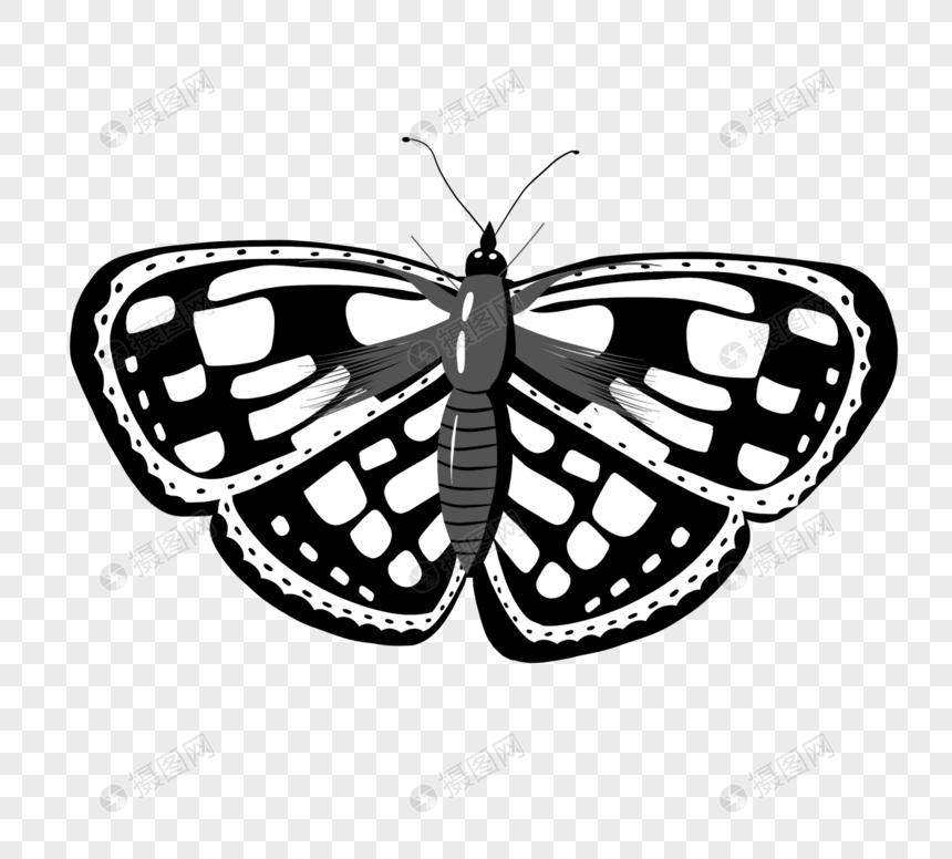 黑白花纹蝴蝶元素图片