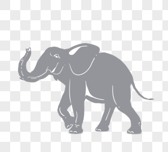 自然大象图片