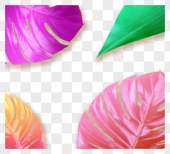 彩色树叶装饰元素图片