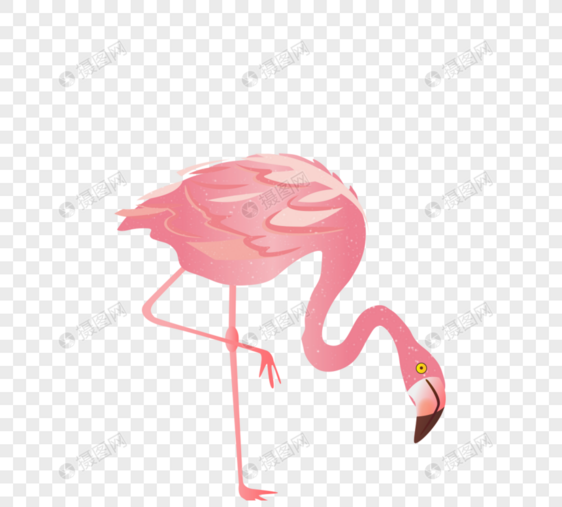 火烈鸟粉色手绘卡通图片