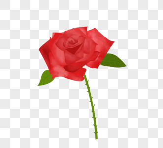 手绘红色玫瑰花元素图片