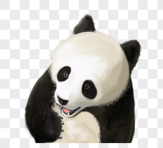 可爱微笑国宝熊猫元素图片