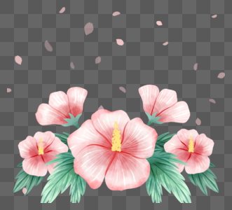 淡雅风格木槿花元素图片