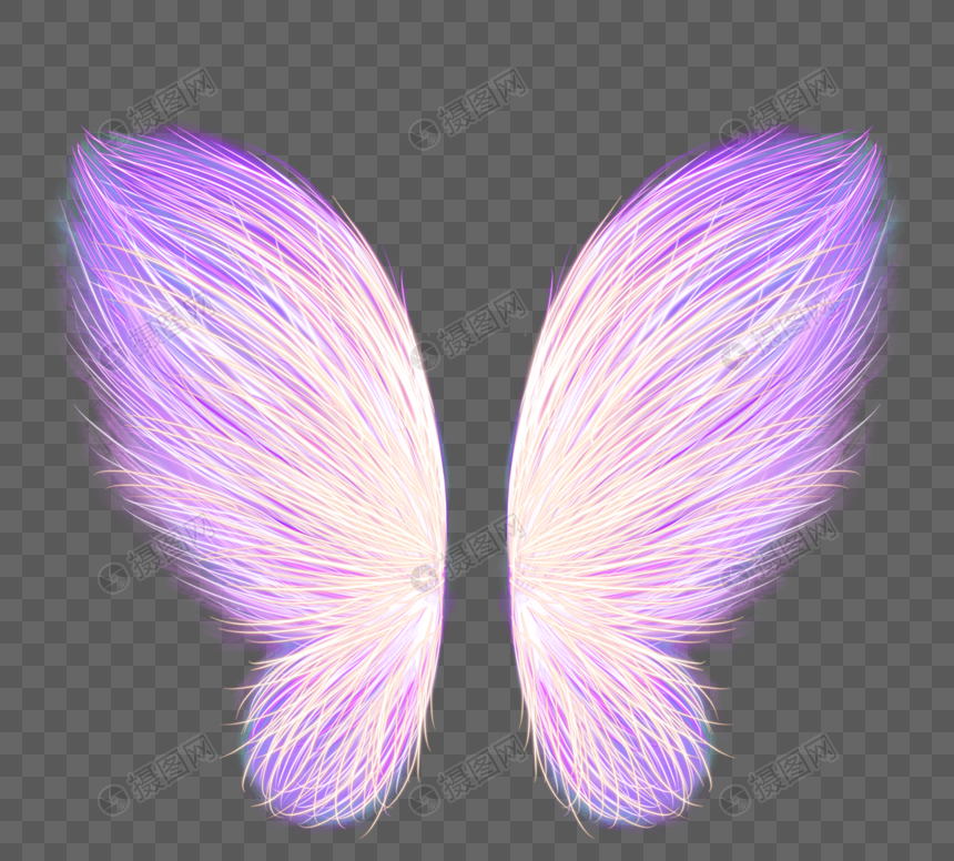 梦幻紫色天使翅膀图片