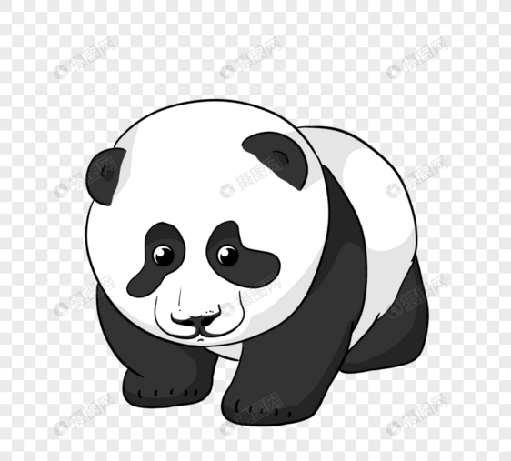 可爱手绘黑白熊猫图片