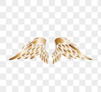 金色羽毛张开天使翅膀图片素材