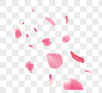 创意唯美粉色浪漫玫瑰花瓣飘落图片