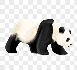 卡通熊猫插图合集高清图片矢量平面动物走大熊猫高清图片手绘老虎高清