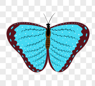 蓝色蝴蝶元素高清图片