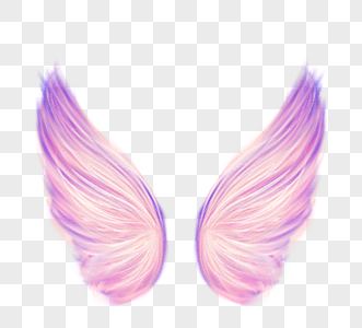 梦幻粉紫色美丽翅膀图片