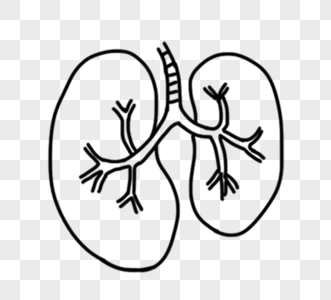 黑色可爱卡通线描人体肺部手绘高清图片