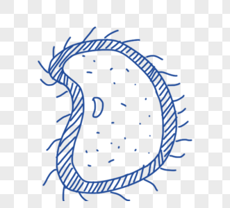 手绘蓝色线描生物学细胞元素图片素材