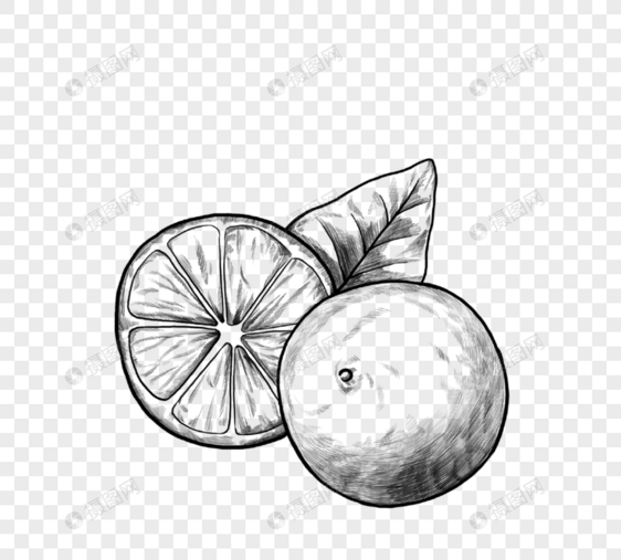 柠檬黑与白植物水果图片