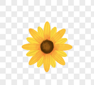 一朵向日葵向阳花图片