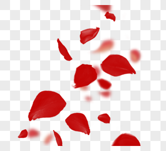 创意唯美红色浪漫玫瑰花瓣飘落图片