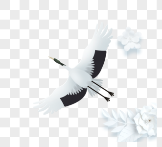 白色仙鹤花朵元素图片