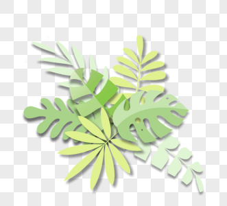 剪纸风格热带植物叶高清图片