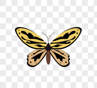 蝴蝶黄色矢量元素高清图片