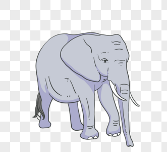 灰色手绘大象图片