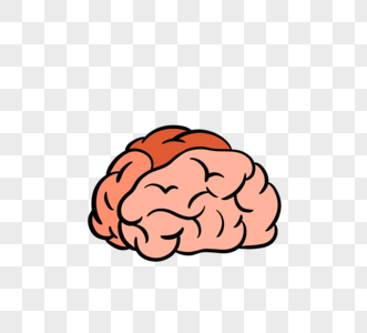 橙色大脑思考脑子图片素材