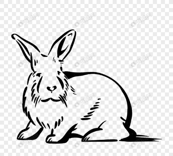 黑白色线描手绘大耳朵兔子图片