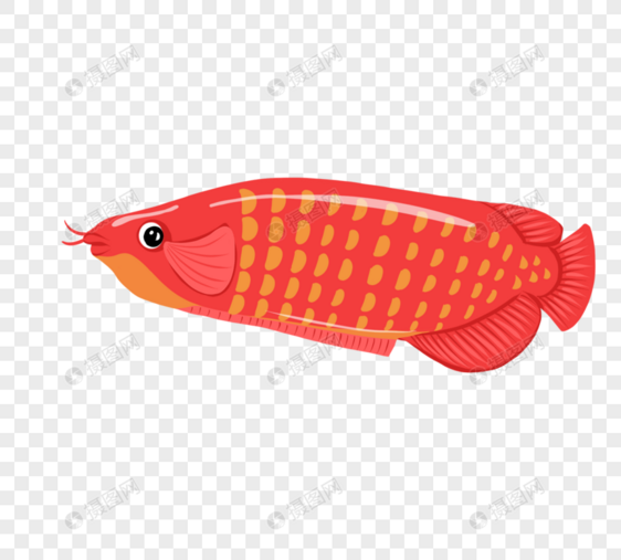 红色鱼元素图片