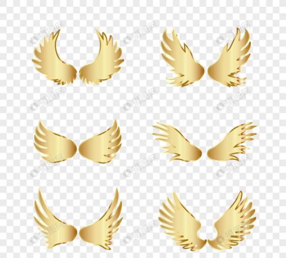 金色光泽翅膀组图图片