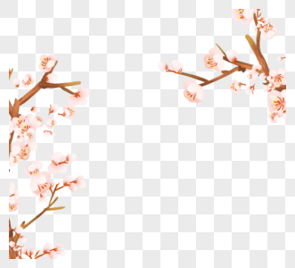 白色药用植物春天樱桃枝杈框架图片