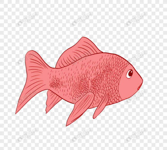 红色唯美卡通手绘鱼简约图片