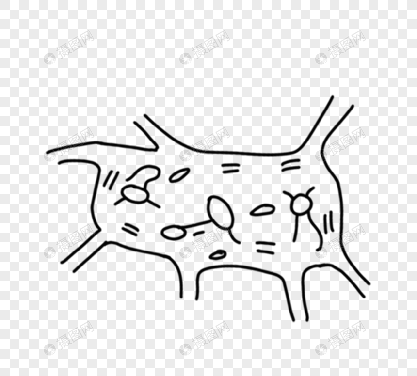医院卡通线描人体细胞手绘