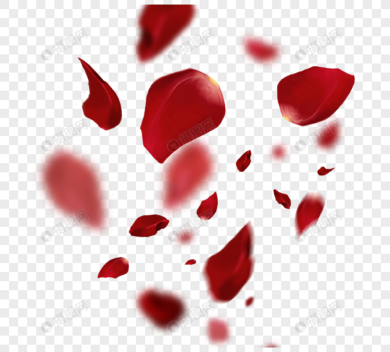 创意唯美红色浪漫玫瑰花瓣飘落图片