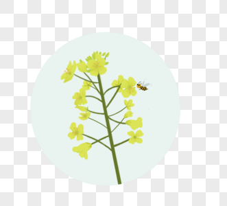 黄色花朵蜜蜂设计元素图片